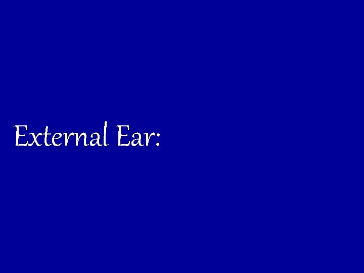 External Ear: 