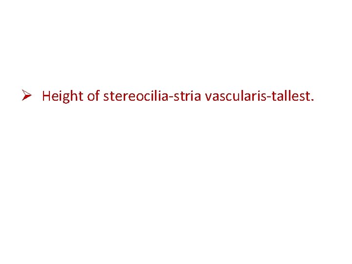 Ø Height of stereocilia-stria vascularis-tallest. 