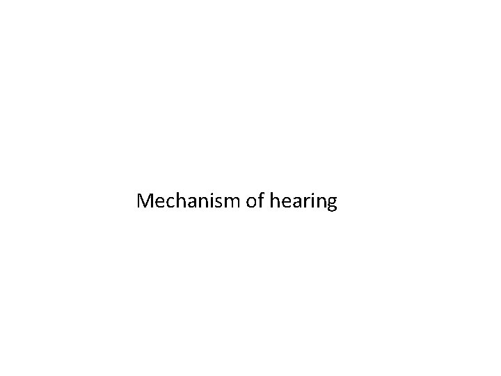 Mechanism of hearing 