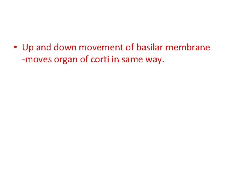  • Up and down movement of basilar membrane -moves organ of corti in