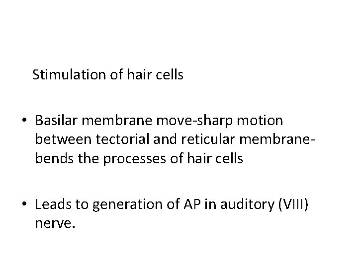Stimulation of hair cells • Basilar membrane move-sharp motion between tectorial and reticular membranebends