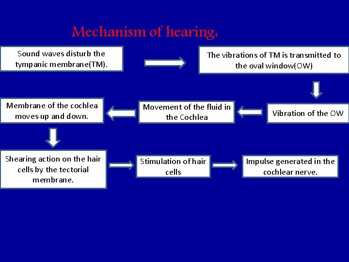 Mechanism of hearing: Sound waves disturb the tympanic membrane(TM). The vibrations of TM is