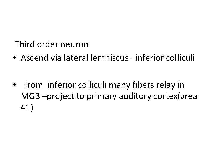 Third order neuron • Ascend via lateral lemniscus –inferior colliculi • From inferior colliculi