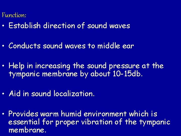 Function: • Establish direction of sound waves • Conducts sound waves to middle ear