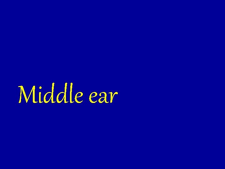 Middle ear 