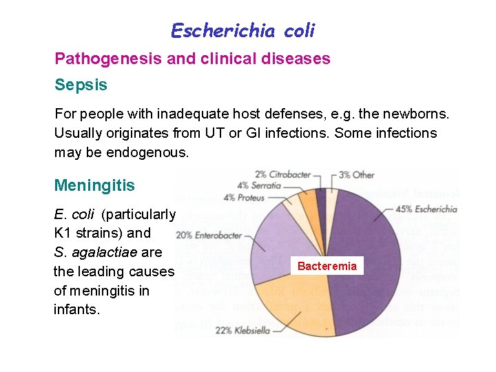 Escherichia coli Pathogenesis and clinical diseases Sepsis For people with inadequate host defenses, e.