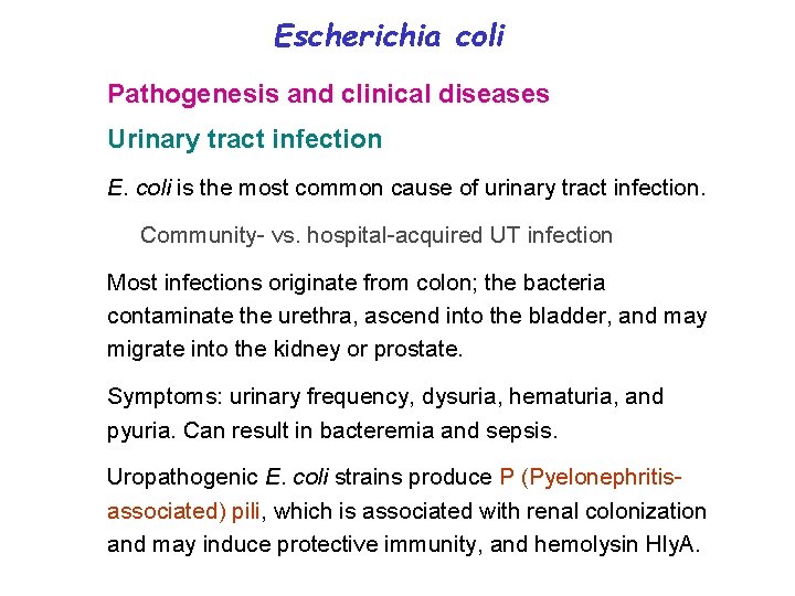 Escherichia coli Pathogenesis and clinical diseases Urinary tract infection E. coli is the most