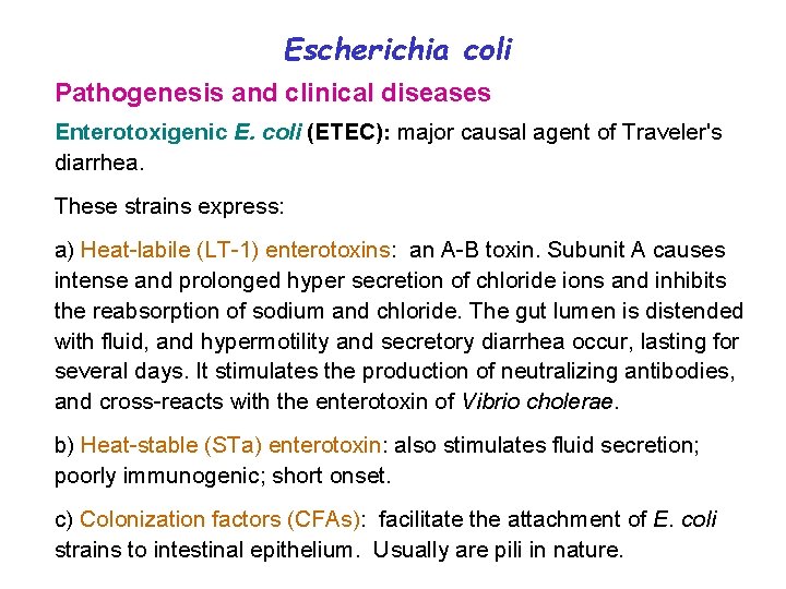 Escherichia coli Pathogenesis and clinical diseases Enterotoxigenic E. coli (ETEC): major causal agent of