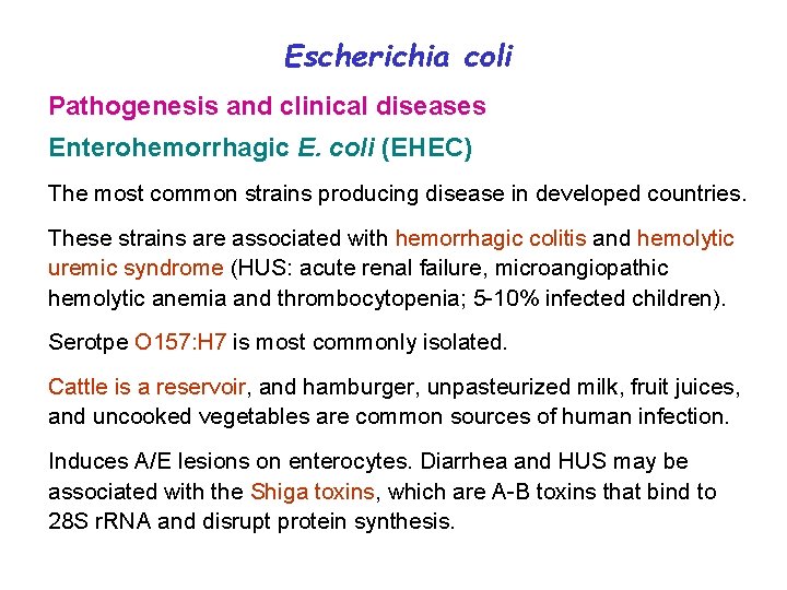 Escherichia coli Pathogenesis and clinical diseases Enterohemorrhagic E. coli (EHEC) The most common strains