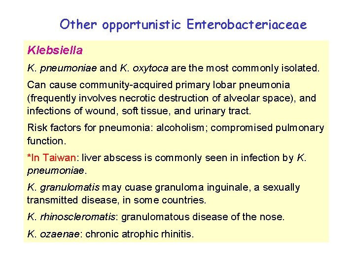 Other opportunistic Enterobacteriaceae Klebsiella K. pneumoniae and K. oxytoca are the most commonly isolated.