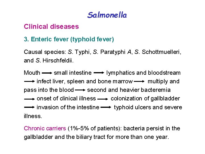 Salmonella Clinical diseases 3. Enteric fever (typhoid fever) Causal species: S. Typhi, S. Paratyphi