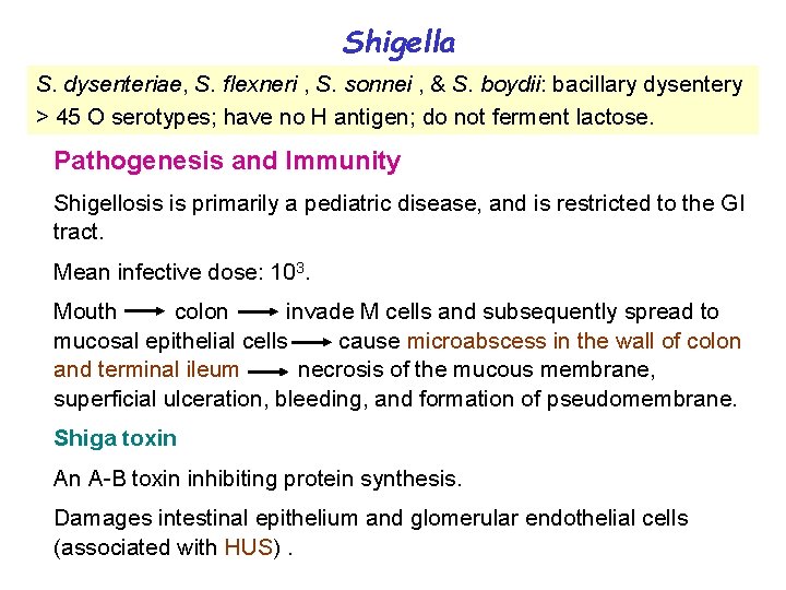 Shigella S. dysenteriae, S. flexneri , S. sonnei , & S. boydii: bacillary dysentery