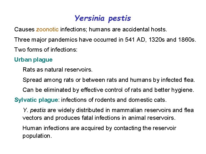 Yersinia pestis Causes zoonotic infections; humans are accidental hosts. Three major pandemics have occurred