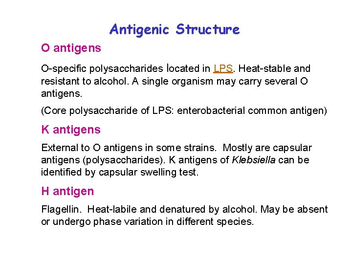Antigenic Structure O antigens O-specific polysaccharides located in LPS. Heat-stable and resistant to alcohol.