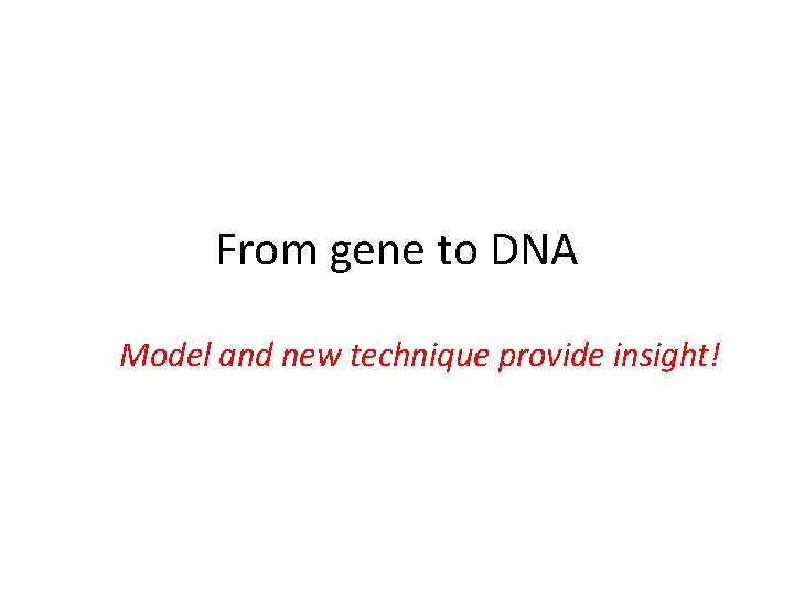 From gene to DNA Model and new technique provide insight! 