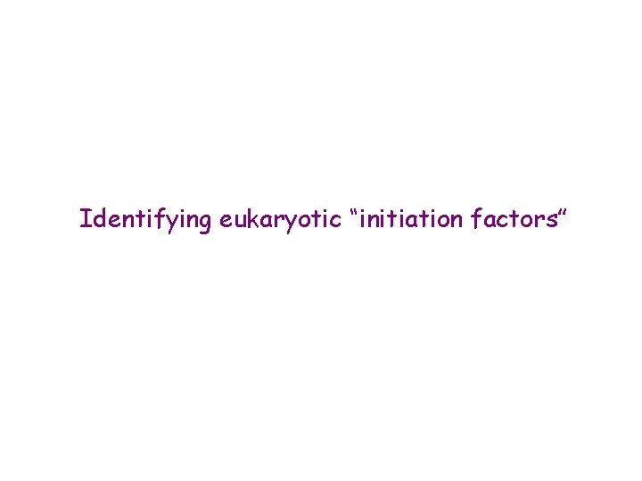 Identifying eukaryotic “initiation factors” 