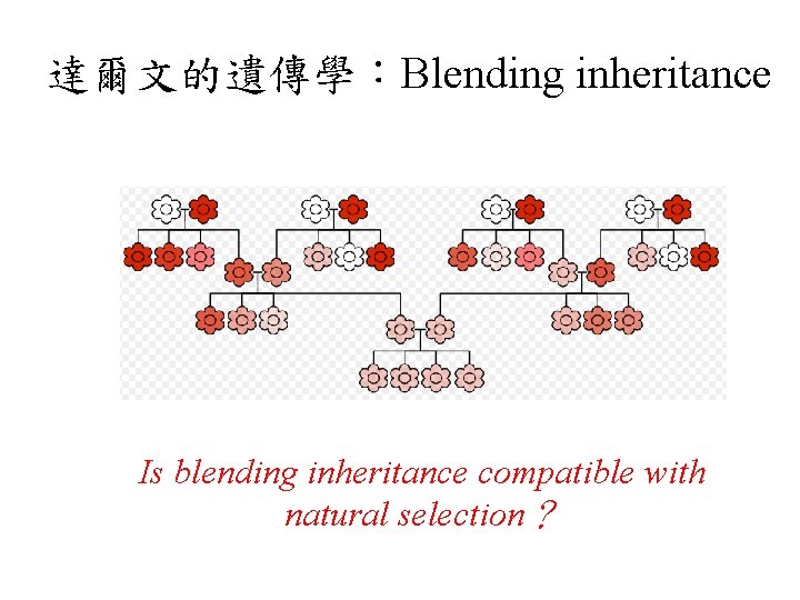 達爾文的遺傳學：Blending inheritance Is blending inheritance compatible with natural selection？ 