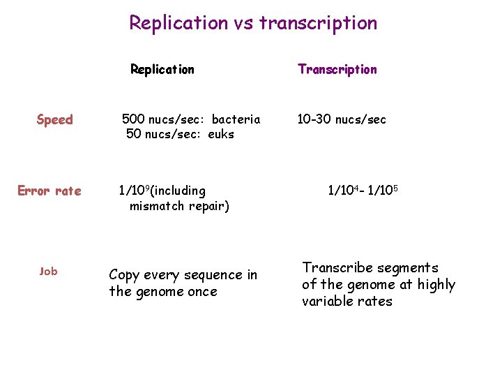 Replication vs transcription Replication Speed Error rate Job 500 nucs/sec: bacteria 50 nucs/sec: euks