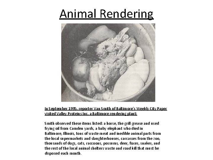 Animal Rendering In September 1995, reporter Van Smith of Baltimore’s Weekly City Paper visited