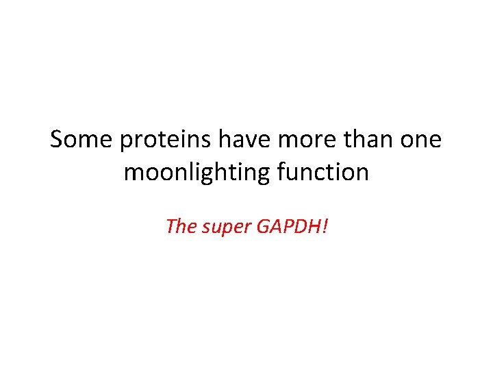 Some proteins have more than one moonlighting function The super GAPDH! 