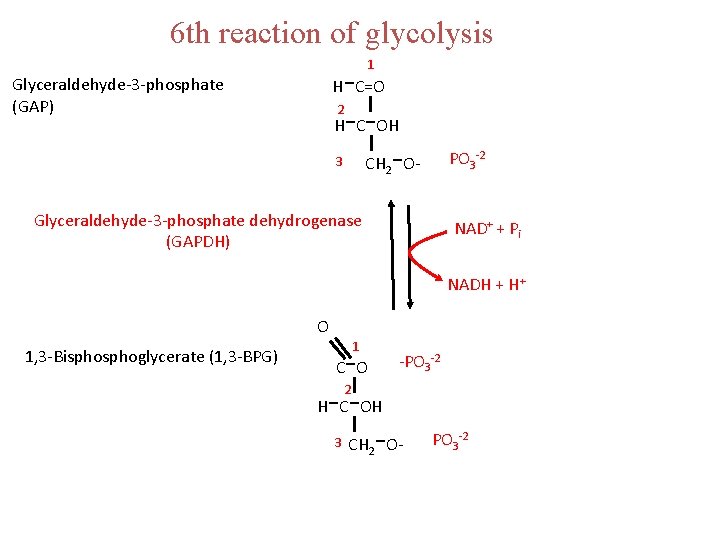 6 th reaction of glycolysis 1 H-C-OH CH -O- Glyceraldehyde-3 -phosphate (GAP) H C=O