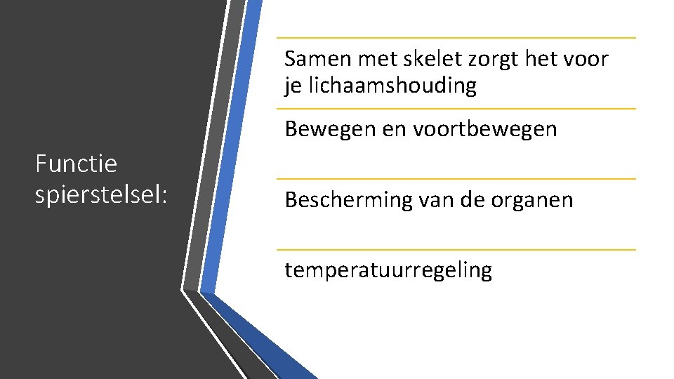 Samen met skelet zorgt het voor je lichaamshouding Bewegen en voortbewegen Functie spierstelsel: Bescherming