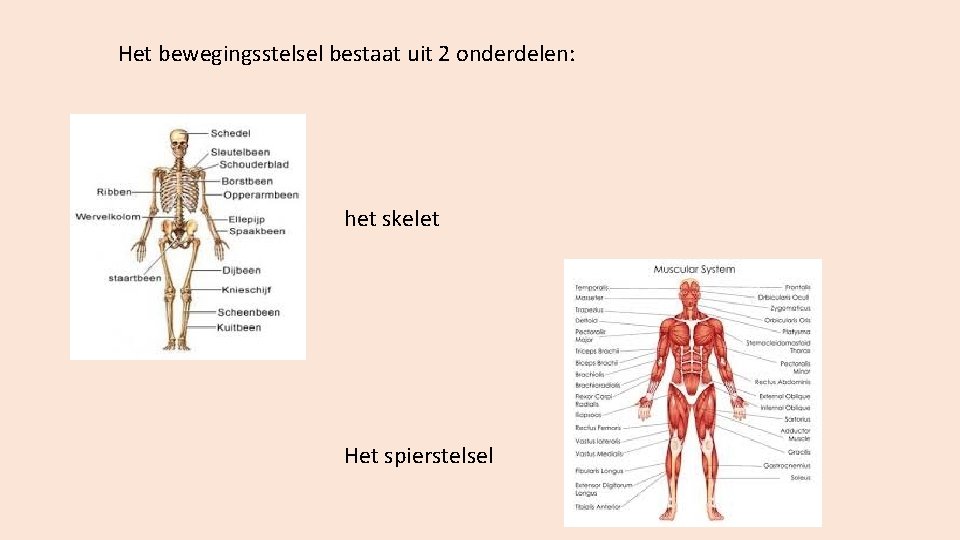 Welke onderwerpen deze periode Bouw en functie van