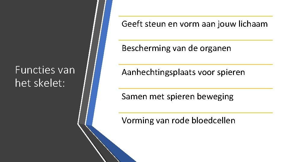 Geeft steun en vorm aan jouw lichaam Bescherming van de organen Functies van het