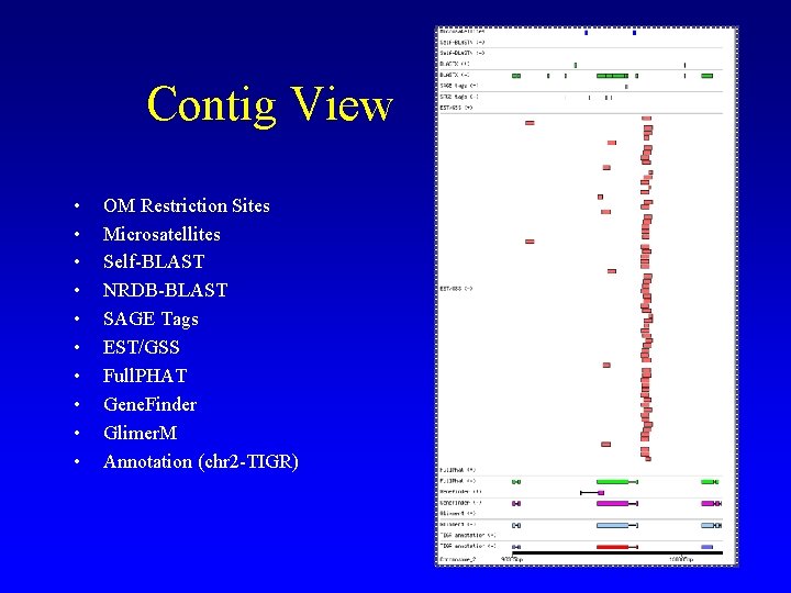 Contig View • • • OM Restriction Sites Microsatellites Self-BLAST NRDB-BLAST SAGE Tags EST/GSS