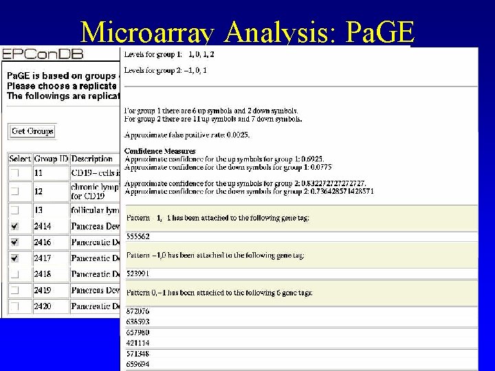 Microarray Analysis: Pa. GE 