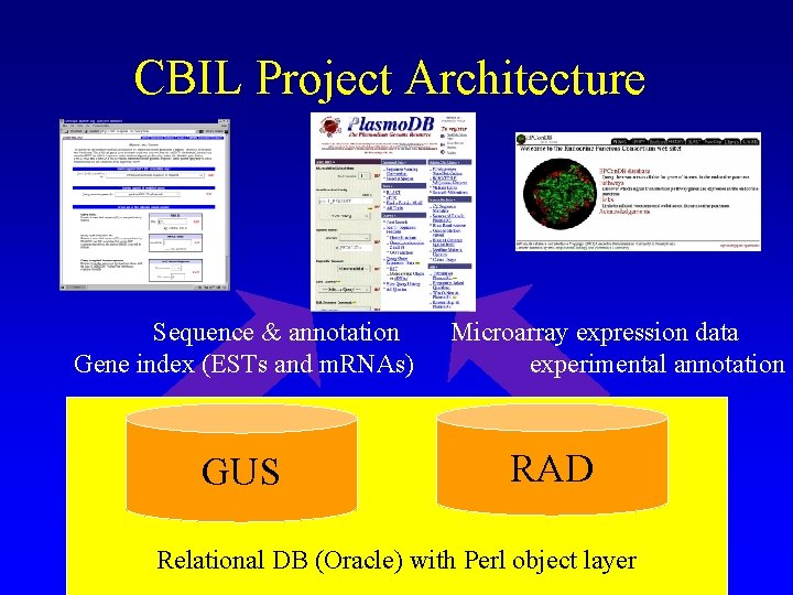 CBIL Project Architecture Sequence & annotation Gene index (ESTs and m. RNAs) GUS Microarray