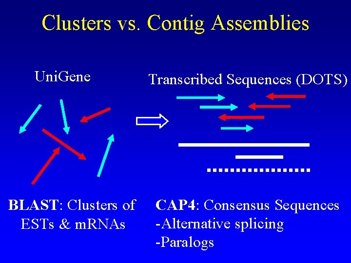 Clusters vs. Contig Assemblies Uni. Gene BLAST: Clusters of ESTs & m. RNAs Transcribed