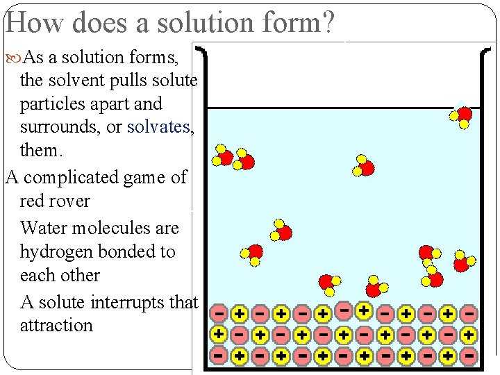 How does a solution form? As a solution forms, the solvent pulls solute particles