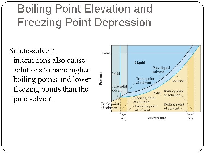Boiling Point Elevation and Freezing Point Depression Solute-solvent interactions also cause solutions to have Boiling Point Elevation and Freezing Point Depression Solute-solvent interactions also cause solutions to have
