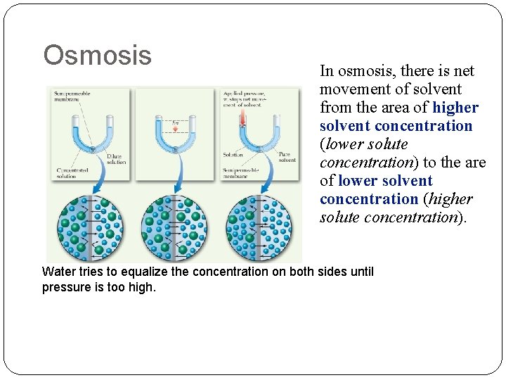Osmosis In osmosis, there is net movement of solvent from the area of higher