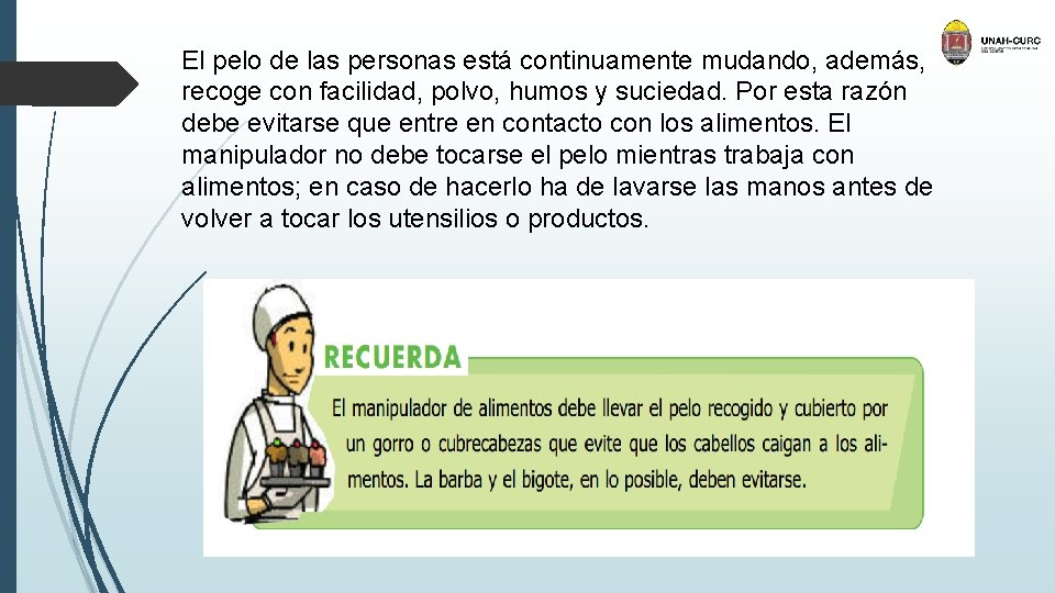 El pelo de las personas está continuamente mudando, además, recoge con facilidad, polvo, humos