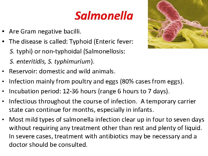 Salmonella • Are Gram negative bacilli. • The disease is called: Typhoid (Enteric fever: