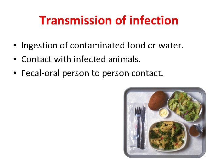 Transmission of infection • Ingestion of contaminated food or water. • Contact with infected