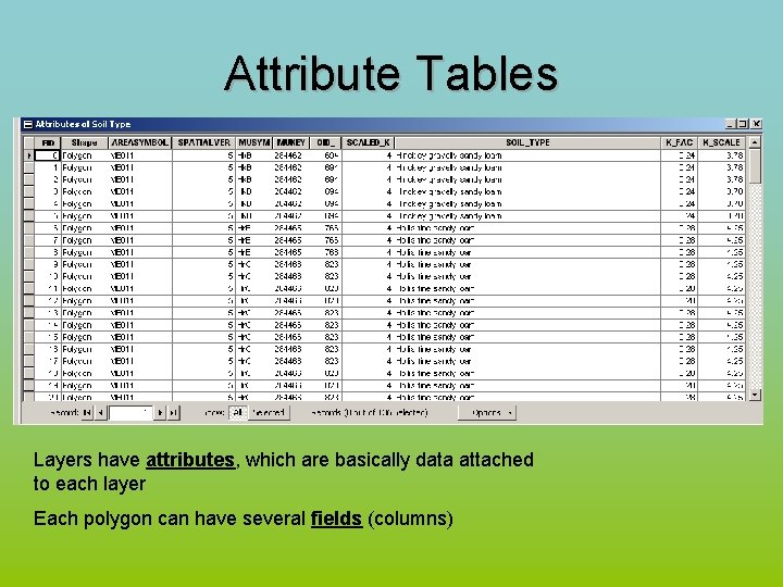 Attribute Tables Layers have attributes, which are basically data attached to each layer Each