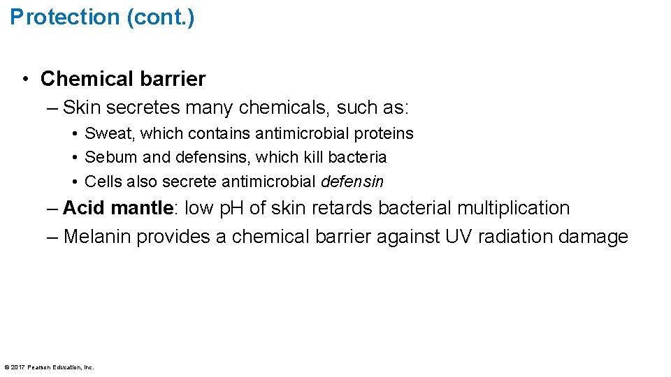 Protection (cont. ) • Chemical barrier – Skin secretes many chemicals, such as: •