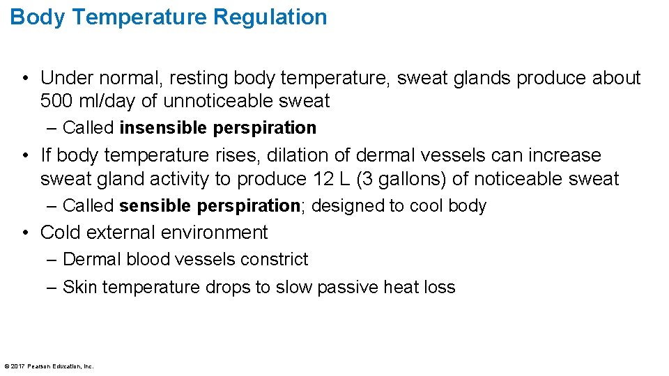 Body Temperature Regulation • Under normal, resting body temperature, sweat glands produce about 500