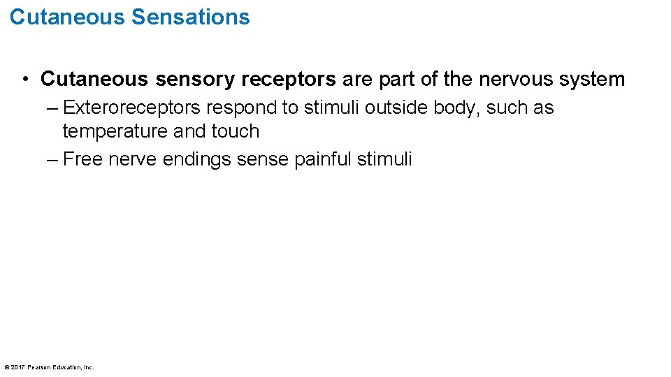 Cutaneous Sensations • Cutaneous sensory receptors are part of the nervous system – Exteroreceptors