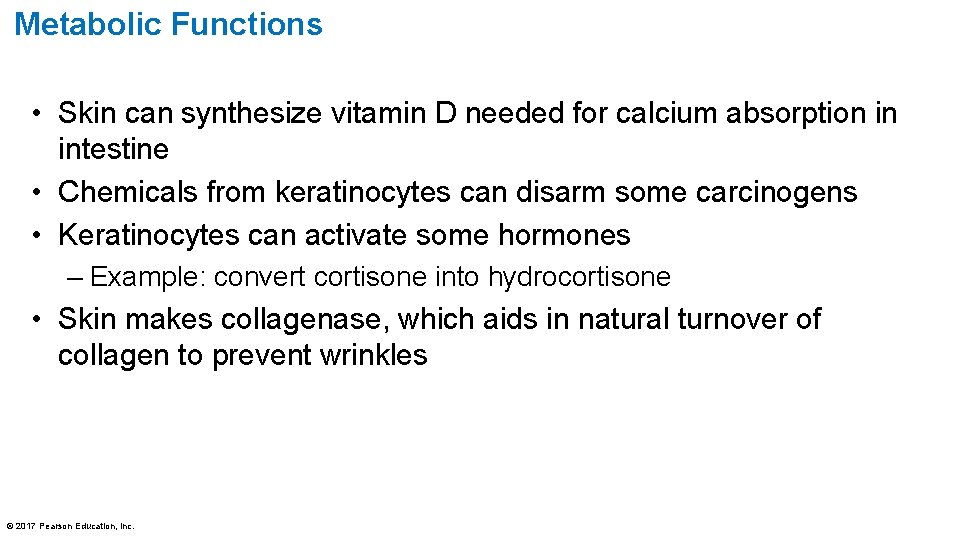 Metabolic Functions • Skin can synthesize vitamin D needed for calcium absorption in intestine