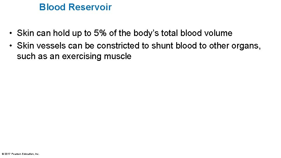 Blood Reservoir • Skin can hold up to 5% of the body’s total blood