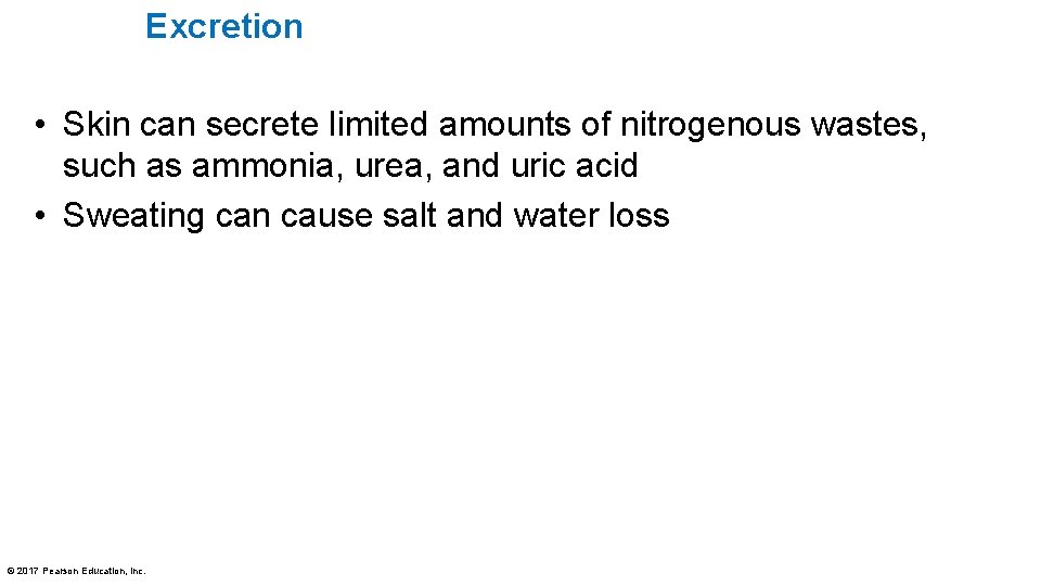 Excretion • Skin can secrete limited amounts of nitrogenous wastes, such as ammonia, urea,