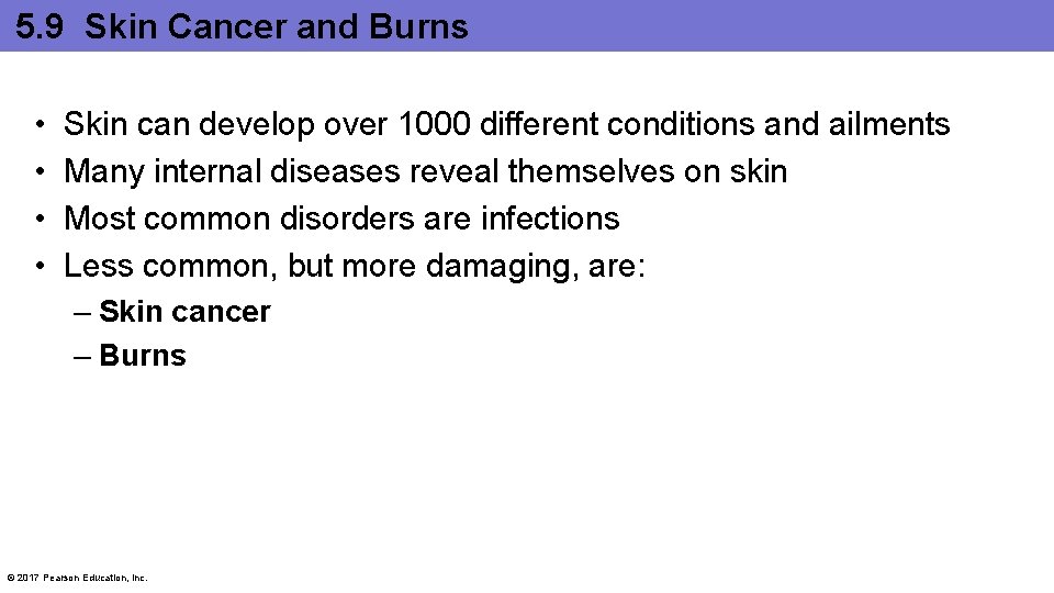 5. 9 Skin Cancer and Burns • • Skin can develop over 1000 different