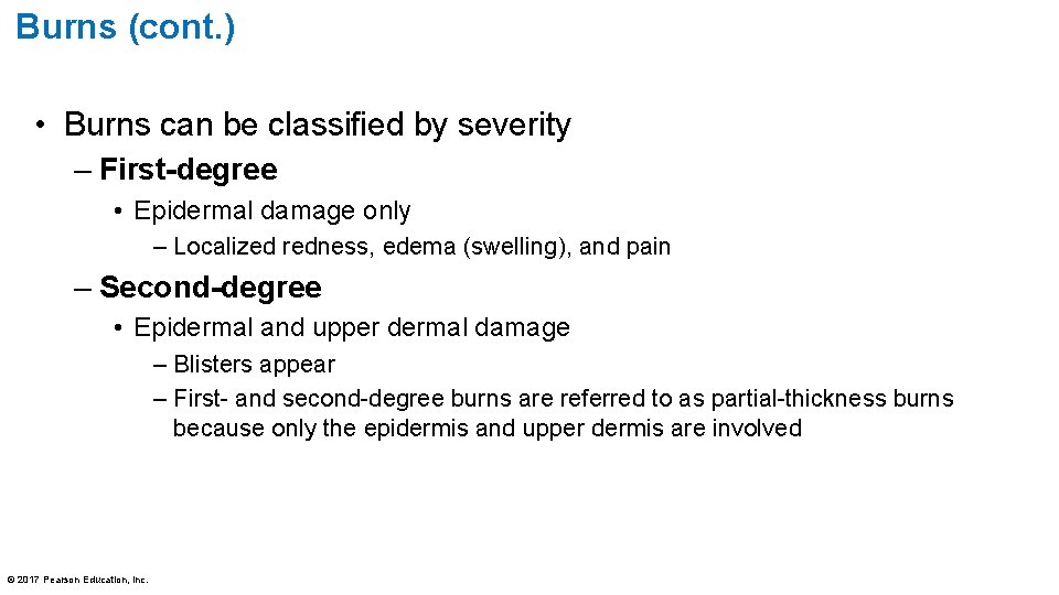 Burns (cont. ) • Burns can be classified by severity – First-degree • Epidermal