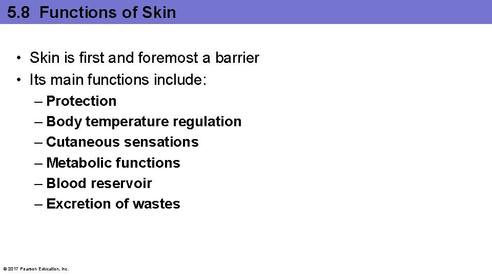 5. 8 Functions of Skin • Skin is first and foremost a barrier •