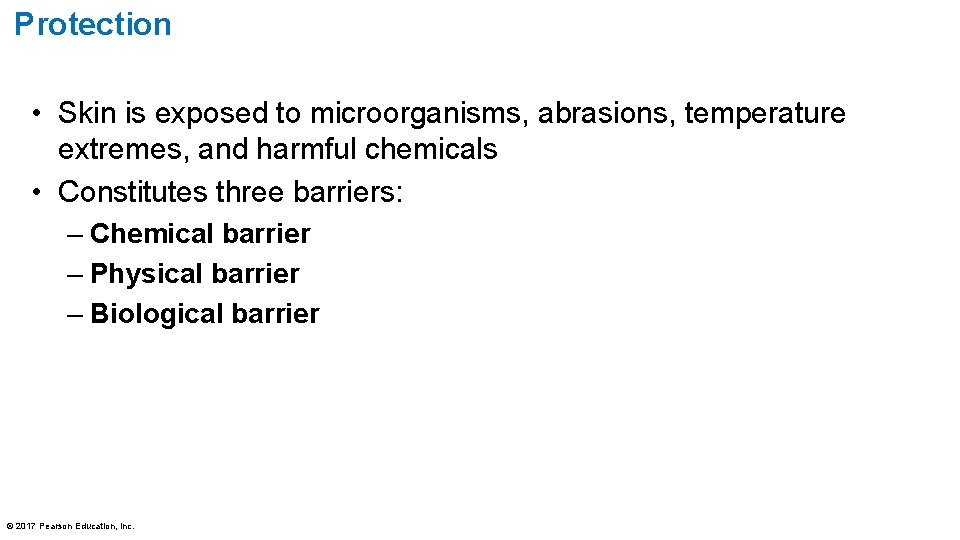 Protection • Skin is exposed to microorganisms, abrasions, temperature extremes, and harmful chemicals •