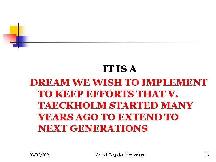 IT IS A DREAM WE WISH TO IMPLEMENT TO KEEP EFFORTS THAT V. TAECKHOLM